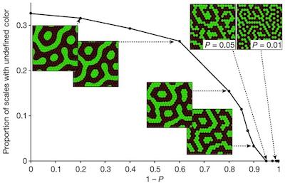 A example of similarities between CA and reaction-diffusion